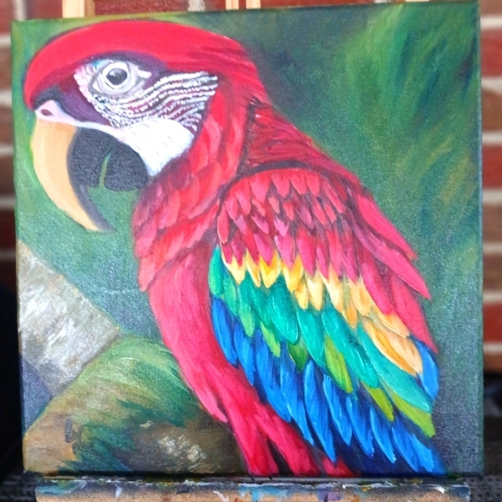 Vibrant Red and Green Macaw Parrot Art.  Original Oil Painting. 12x12"